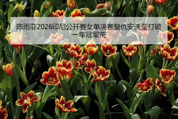 陈雨菲2026印尼公开赛女单决赛复仇安洗莹打破一年冠军荒