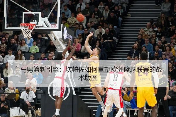 皇马男篮新引擎：坎帕佐如何重塑欧洲篮球联赛的战术版图